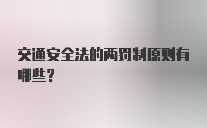 交通安全法的两罚制原则有哪些？