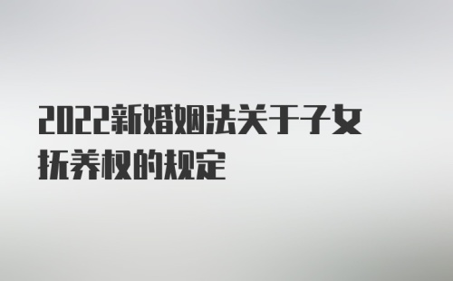 2022新婚姻法关于子女抚养权的规定