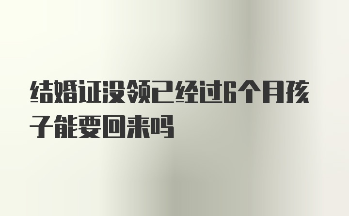 结婚证没领已经过6个月孩子能要回来吗