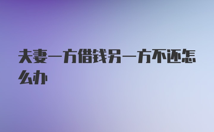 夫妻一方借钱另一方不还怎么办