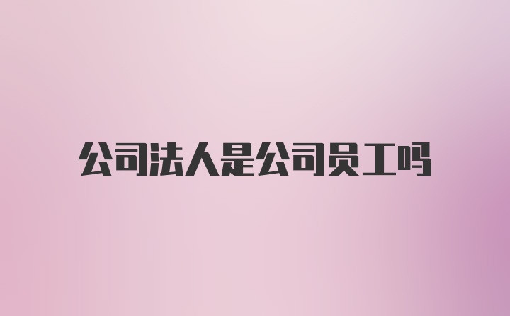 公司法人是公司员工吗