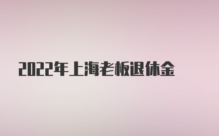 2022年上海老板退休金