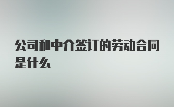 公司和中介签订的劳动合同是什么