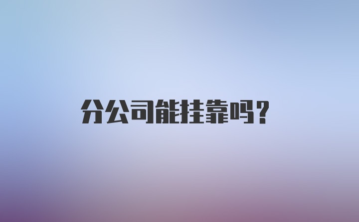 分公司能挂靠吗？