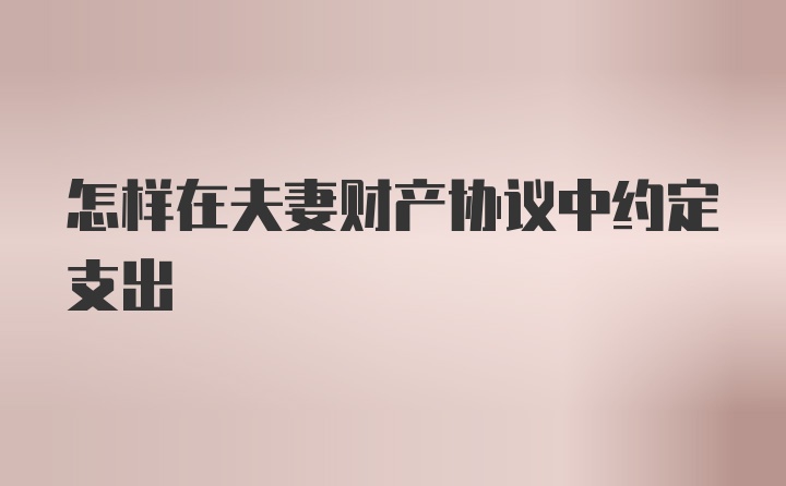 怎样在夫妻财产协议中约定支出