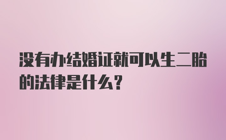 没有办结婚证就可以生二胎的法律是什么？