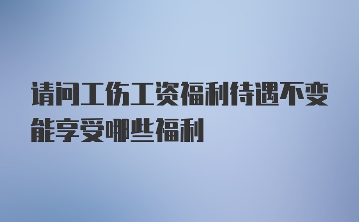 请问工伤工资福利待遇不变能享受哪些福利