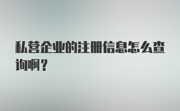 私营企业的注册信息怎么查询啊?