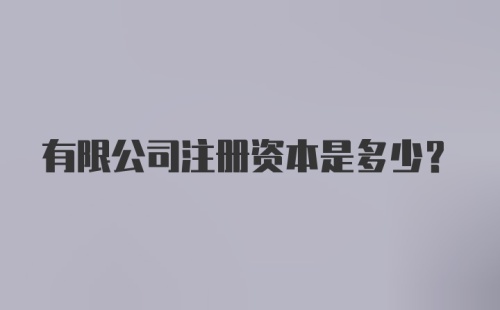 有限公司注册资本是多少？