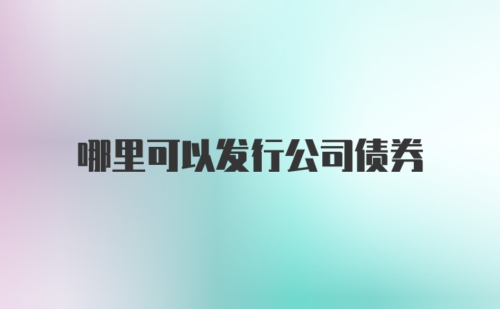 哪里可以发行公司债券