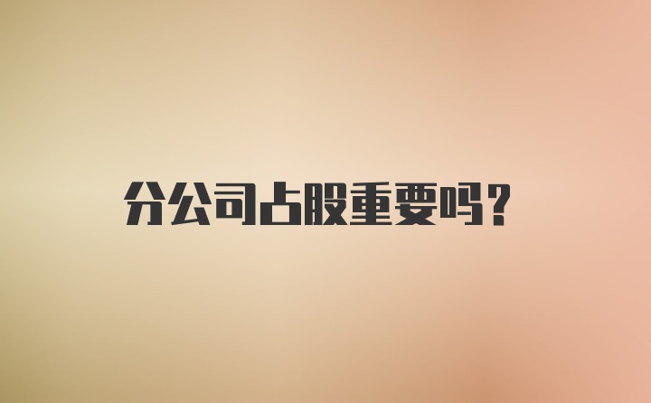 分公司占股重要吗？