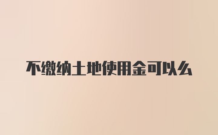 不缴纳土地使用金可以么