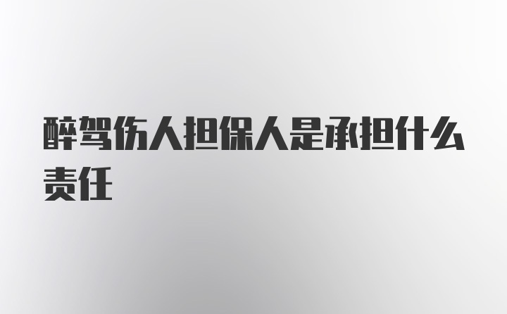 醉驾伤人担保人是承担什么责任