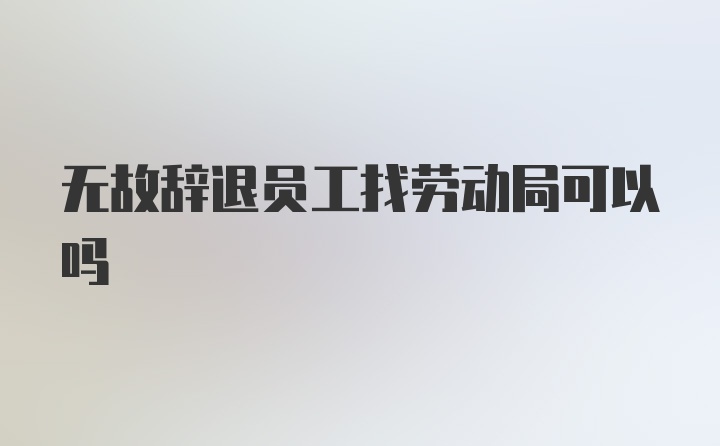 无故辞退员工找劳动局可以吗