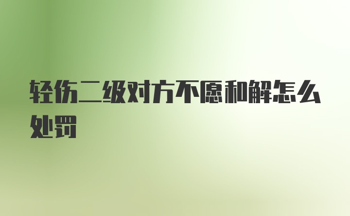 轻伤二级对方不愿和解怎么处罚