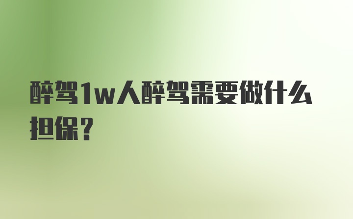 醉驾1w人醉驾需要做什么担保？