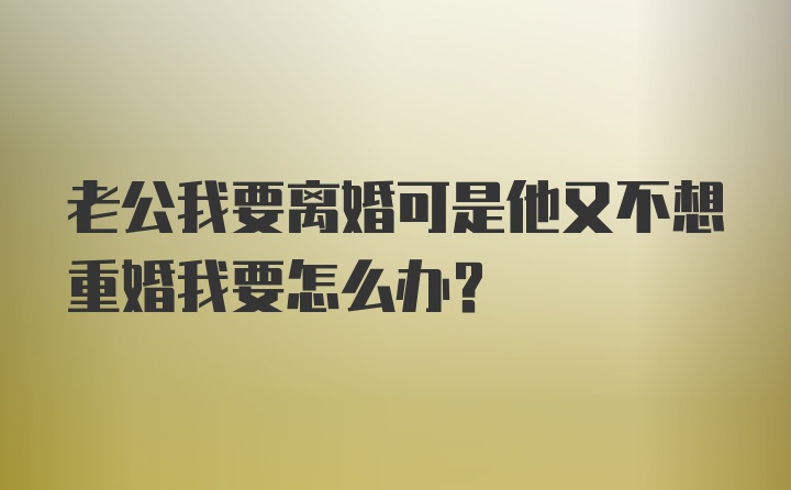 老公我要离婚可是他又不想重婚我要怎么办？