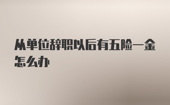 从单位辞职以后有五险一金怎么办