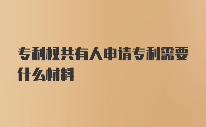 专利权共有人申请专利需要什么材料