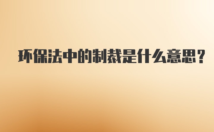 环保法中的制裁是什么意思？