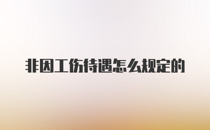 非因工伤待遇怎么规定的