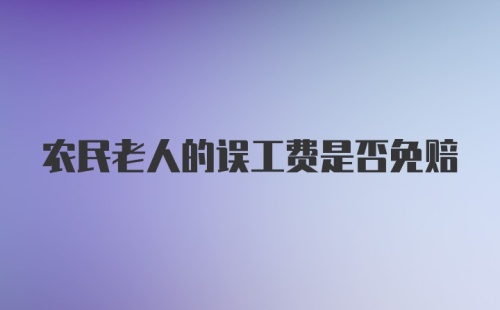 农民老人的误工费是否免赔