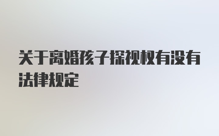 关于离婚孩子探视权有没有法律规定