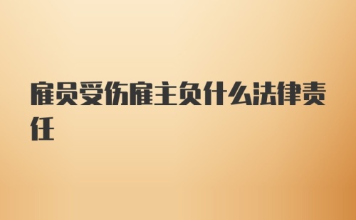 雇员受伤雇主负什么法律责任