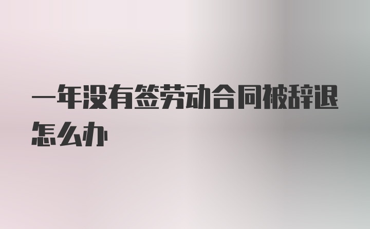 一年没有签劳动合同被辞退怎么办