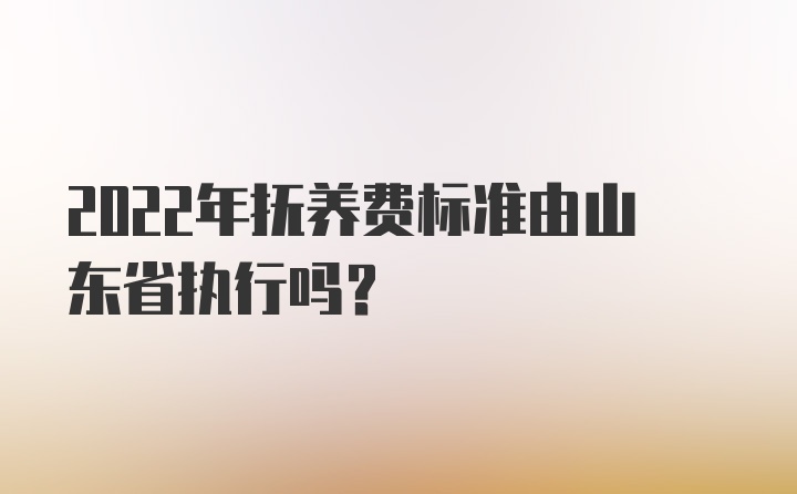 2022年抚养费标准由山东省执行吗？