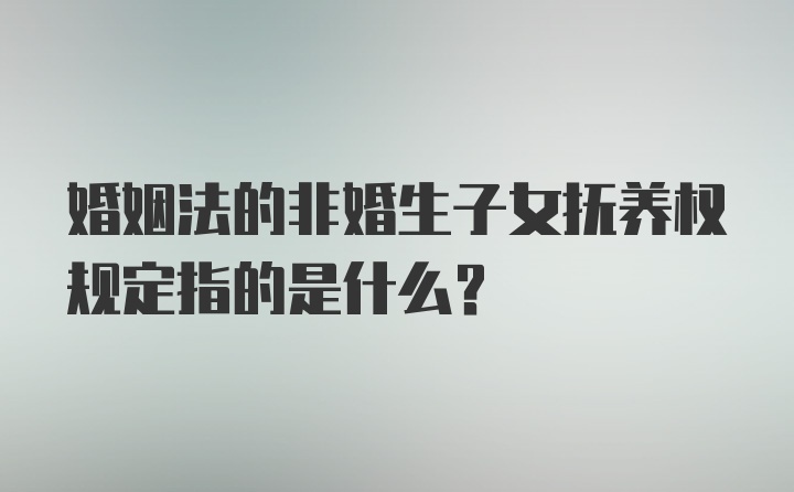 婚姻法的非婚生子女抚养权规定指的是什么?