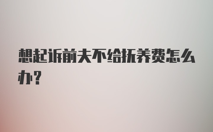 想起诉前夫不给抚养费怎么办？