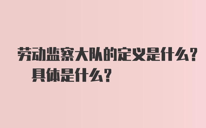 劳动监察大队的定义是什么? 具体是什么?