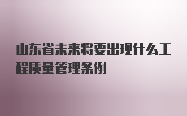 山东省未来将要出现什么工程质量管理条例