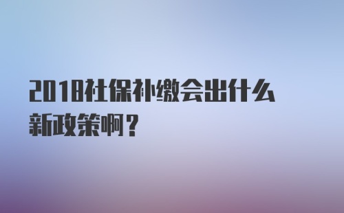 2018社保补缴会出什么新政策啊？