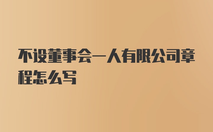 不设董事会一人有限公司章程怎么写