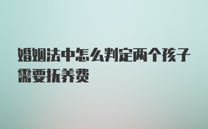 婚姻法中怎么判定两个孩子需要抚养费