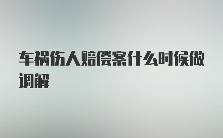 车祸伤人赔偿案什么时候做调解