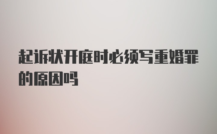 起诉状开庭时必须写重婚罪的原因吗