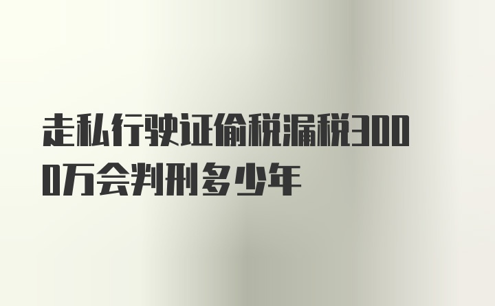 走私行驶证偷税漏税3000万会判刑多少年