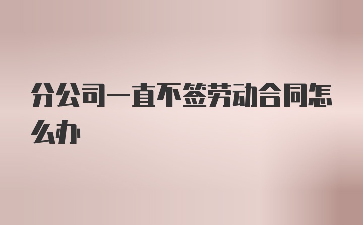 分公司一直不签劳动合同怎么办