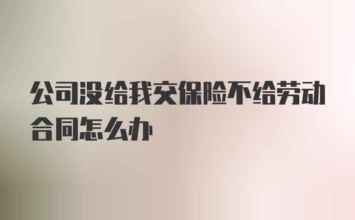 公司没给我交保险不给劳动合同怎么办