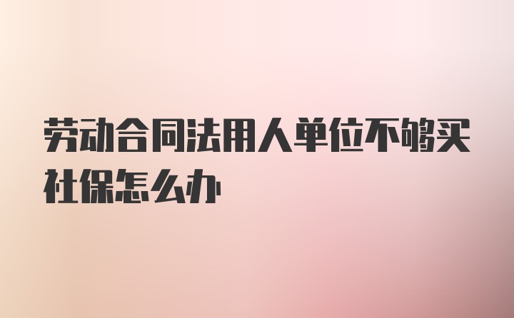 劳动合同法用人单位不够买社保怎么办