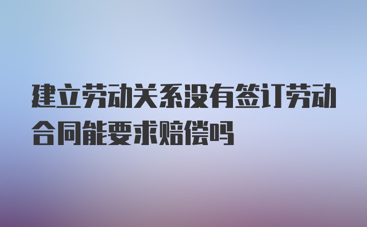 建立劳动关系没有签订劳动合同能要求赔偿吗