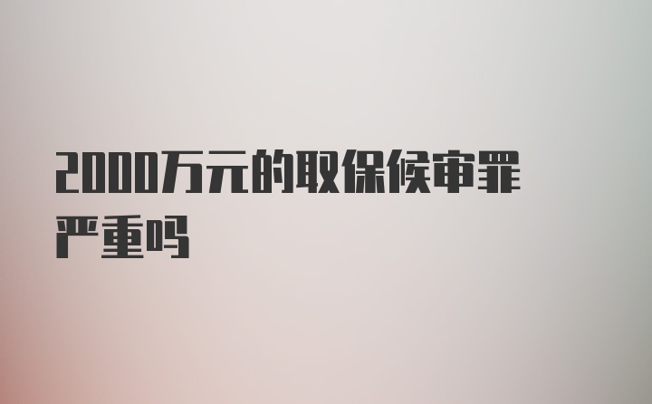 2000万元的取保候审罪严重吗