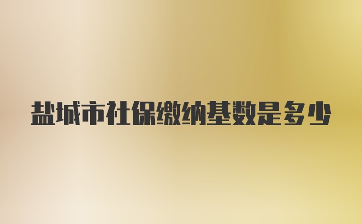 盐城市社保缴纳基数是多少