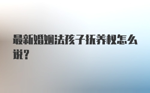 最新婚姻法孩子抚养权怎么说？