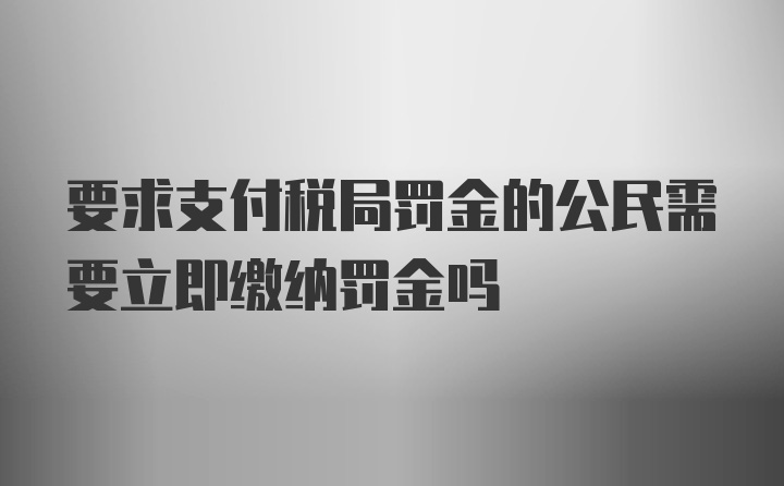 要求支付税局罚金的公民需要立即缴纳罚金吗