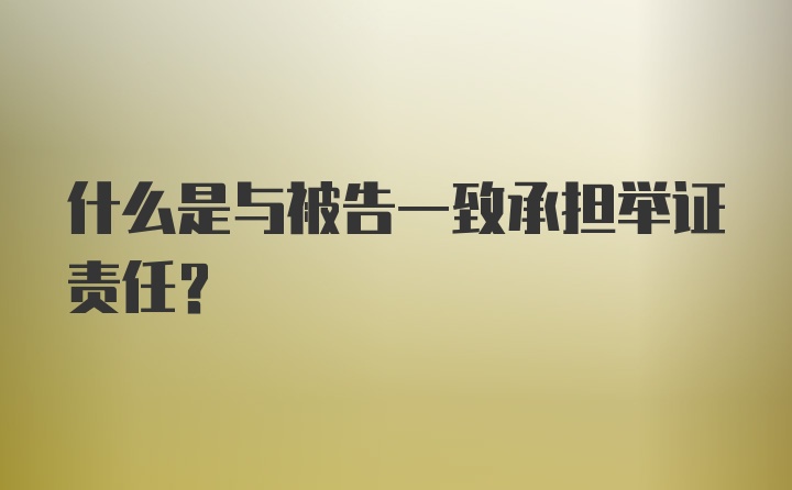 什么是与被告一致承担举证责任？