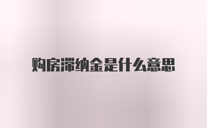 购房滞纳金是什么意思